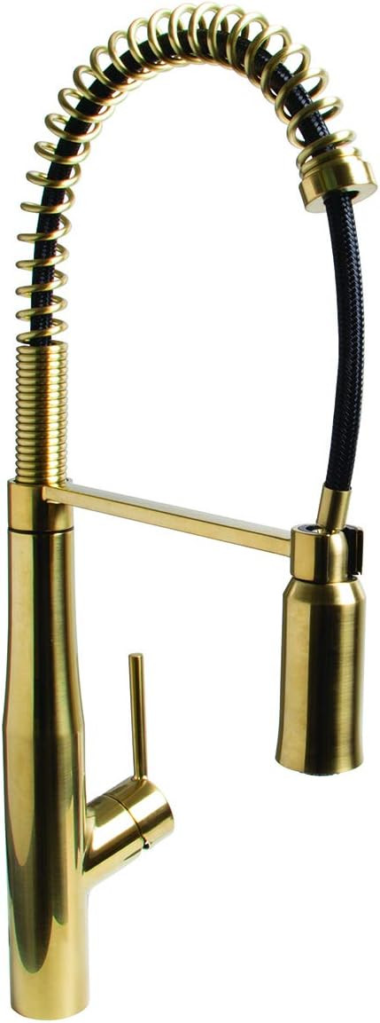 Speakman SB-1043-BRB Neo Spring Kitchen Faucet with Pull Down Sprayer, Aged Brass | Amazon (US)