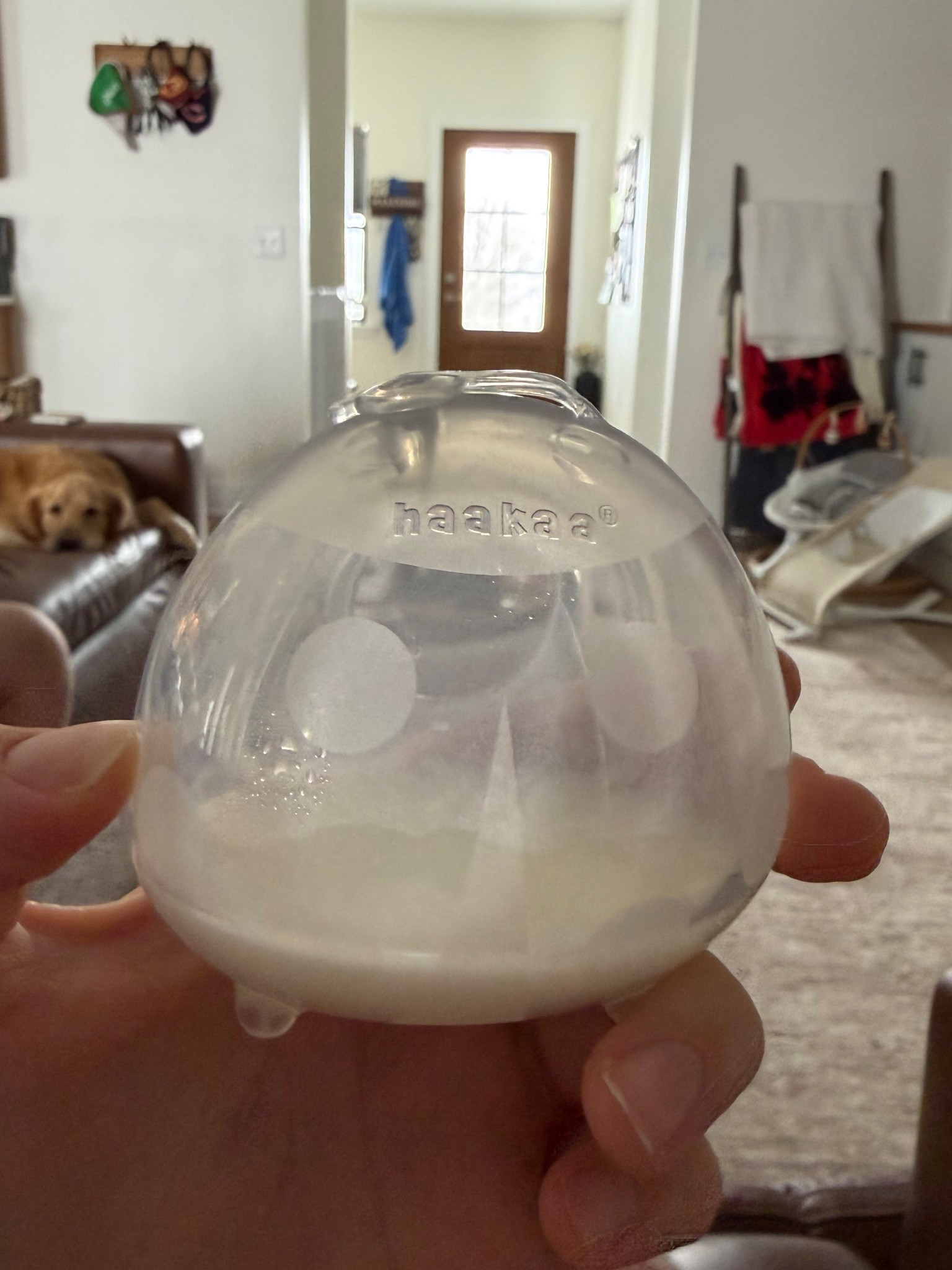 Absolutely love this thing! I get usually like 1 oz per side!

#LTKBaby #LTKmomlife