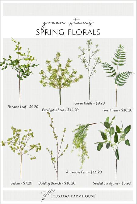 Affordable green spring floral stems. 

Faux stems, faux florals, spring decor, home decor  

#LTKSeasonal #LTKFind #LTKhome