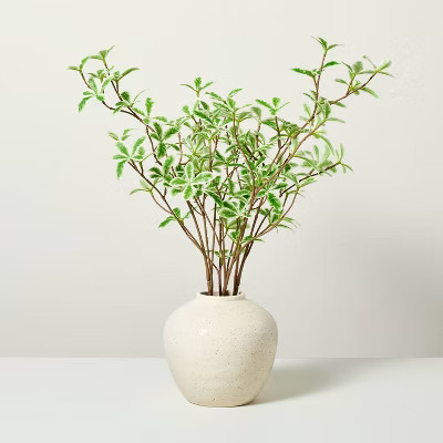 10"x17" Faux Variegated Terminalia Leaf Arrangement - Hearth & Hand™ with Magnolia | Target