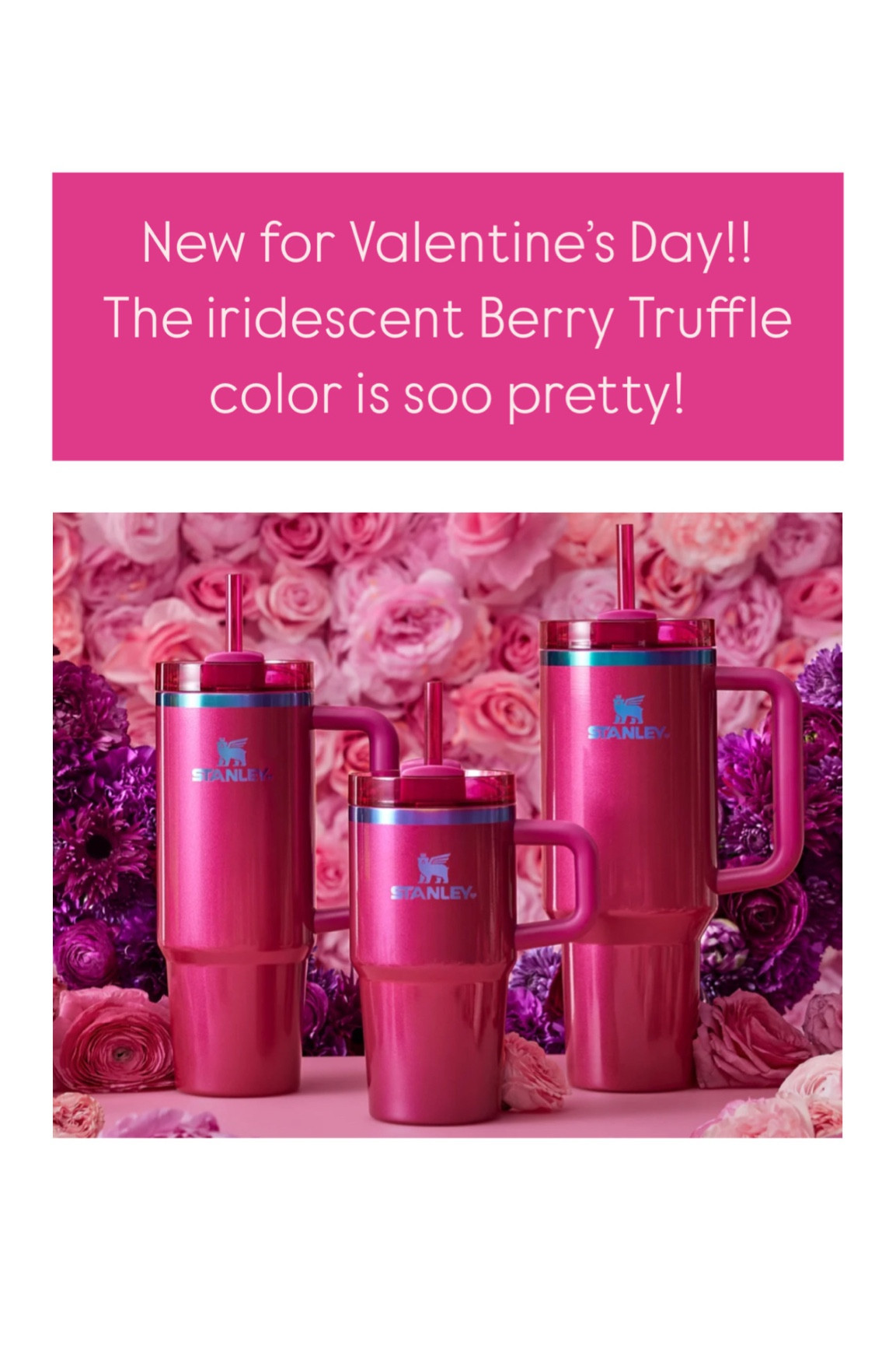 Valentine’s Day Stanley cups in a gorgeous iridescent berry hue!! These won’t last! Perfect for Love Baskets ❤️

#valentinesforher #valentinesdaygifts
#lovebasket #stanleycup

#LTKGiftGuide #LTKFindsUnder50 #LTKSeasonal