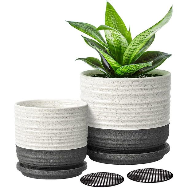 2 Plant Pots, 6 Inch + 4.75 Inch Ceramic Planters Pots with Drainage Hole and Saucers for Succule... | Walmart (US)