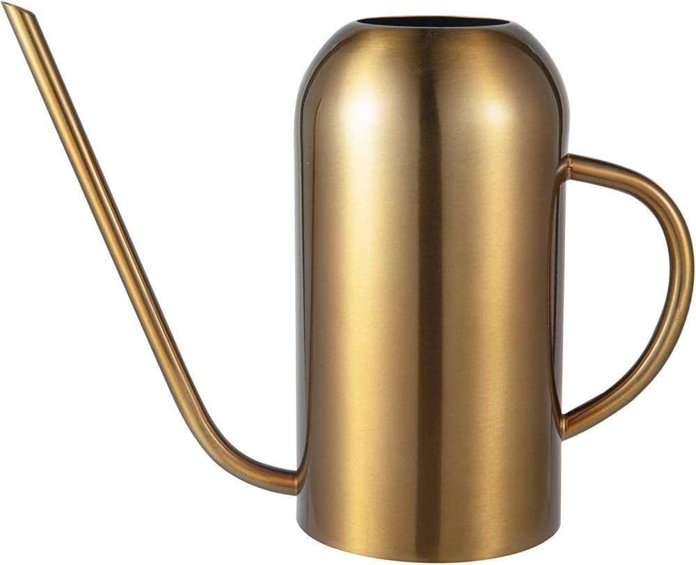 IMEEA Watering Can Indoor Plants Stainless Steel Indoor Watering Can for House Plants 45oz/1.3L (Bro | Amazon (US)