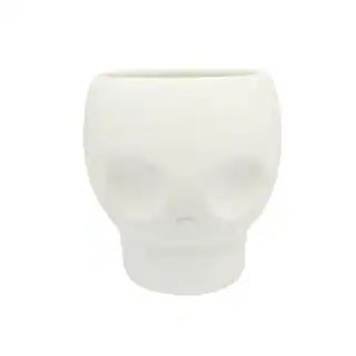 5" DIY Skull Planter by Make Market® | Michaels | Michaels Stores