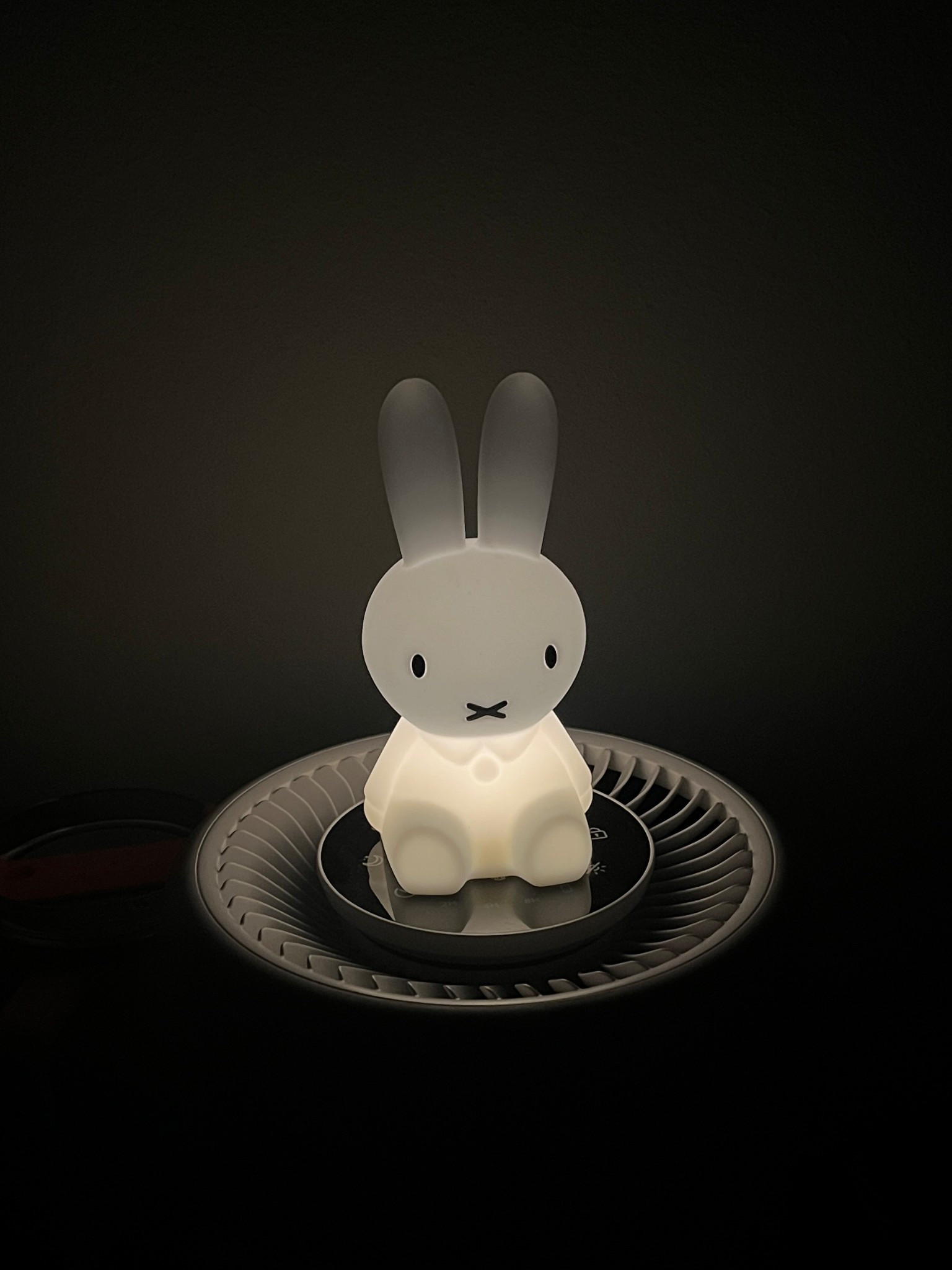 bought the BEST miffy night light 🤍🐰

#LTKSpringSale #LTKSeasonal #LTKHome