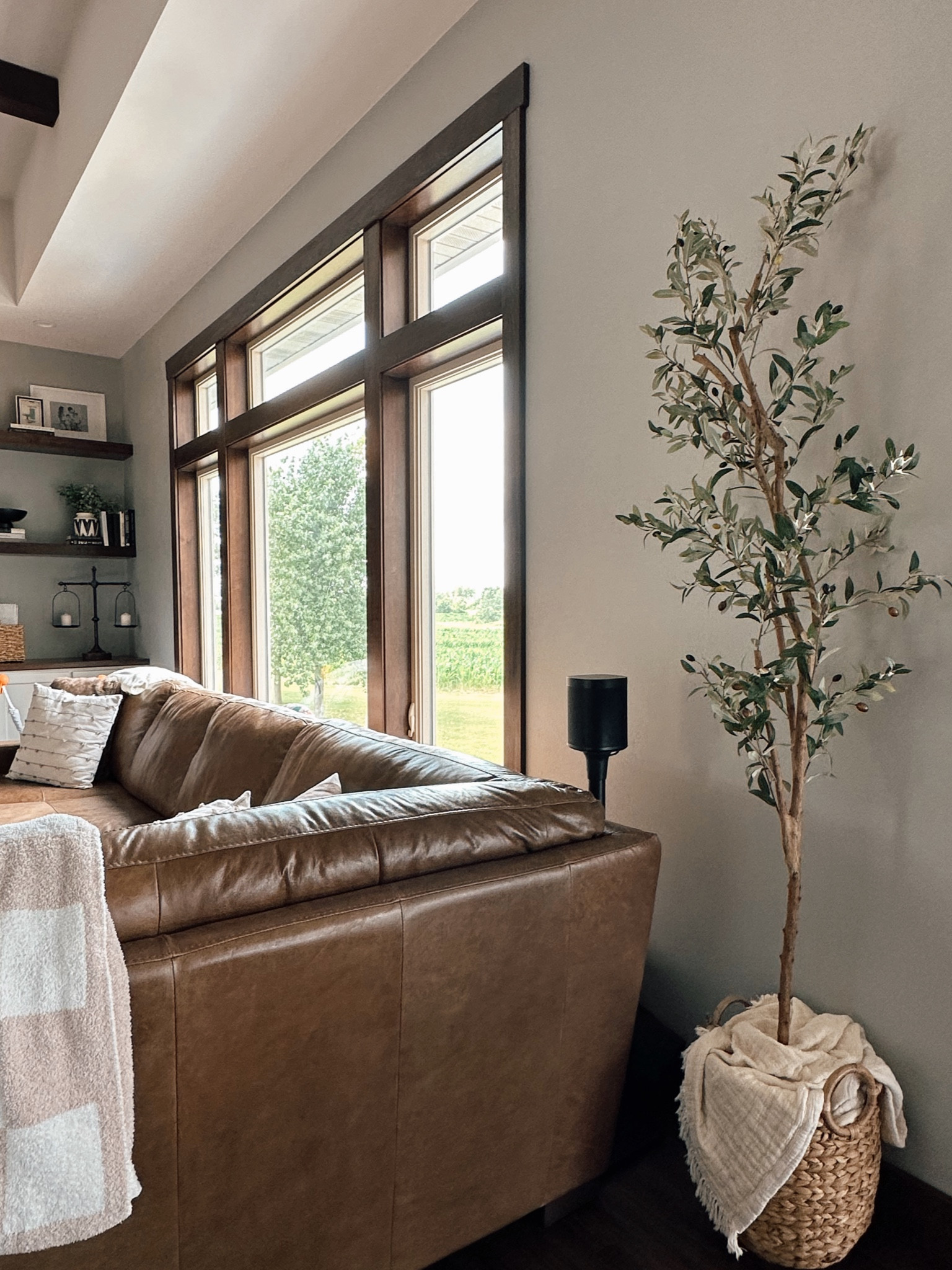 elevate your space with a touch of a green🌿 the faux olive tree was recommended by a friend and it completely ties in the space & adds dimension! 

#LTKsalealert #LTKhome