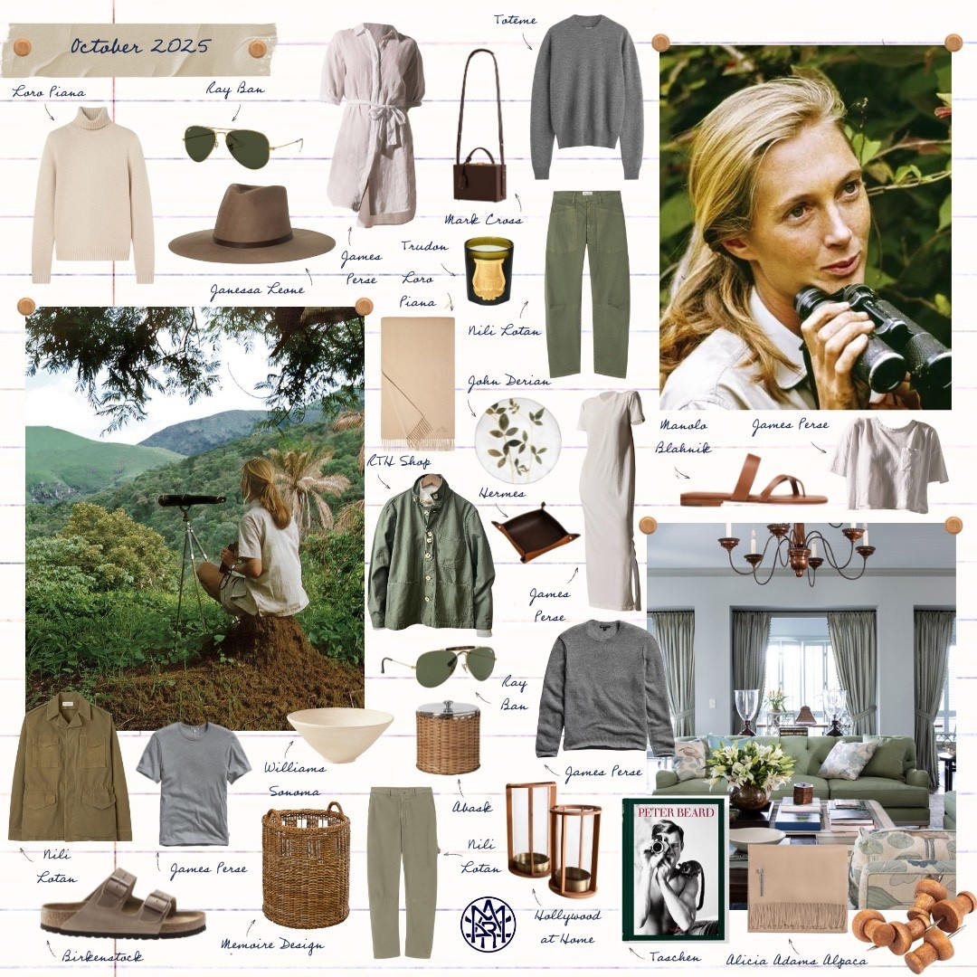 MDS Favorites | October 2025