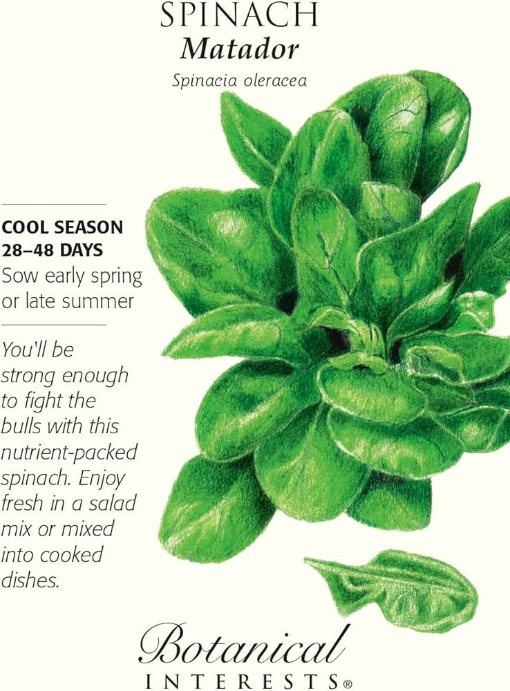 Matador Spinach Seeds - 3 Grams | Amazon (US)