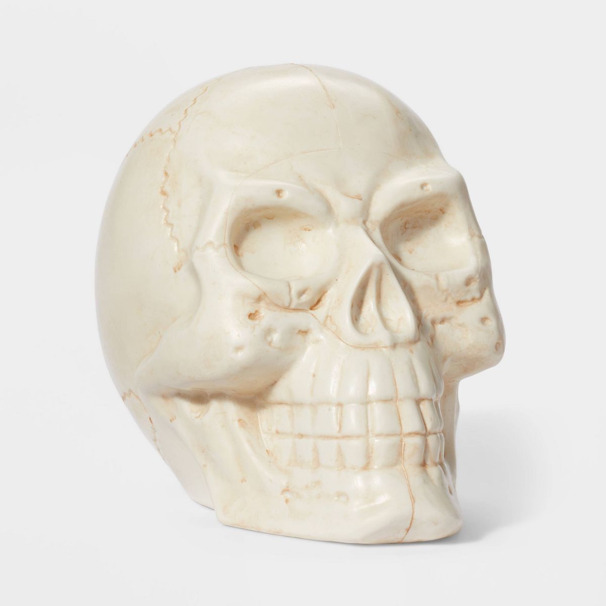 Plastic Cream Skull Halloween Decorative Sculpture - Hyde & EEK! Boutique™ | Target