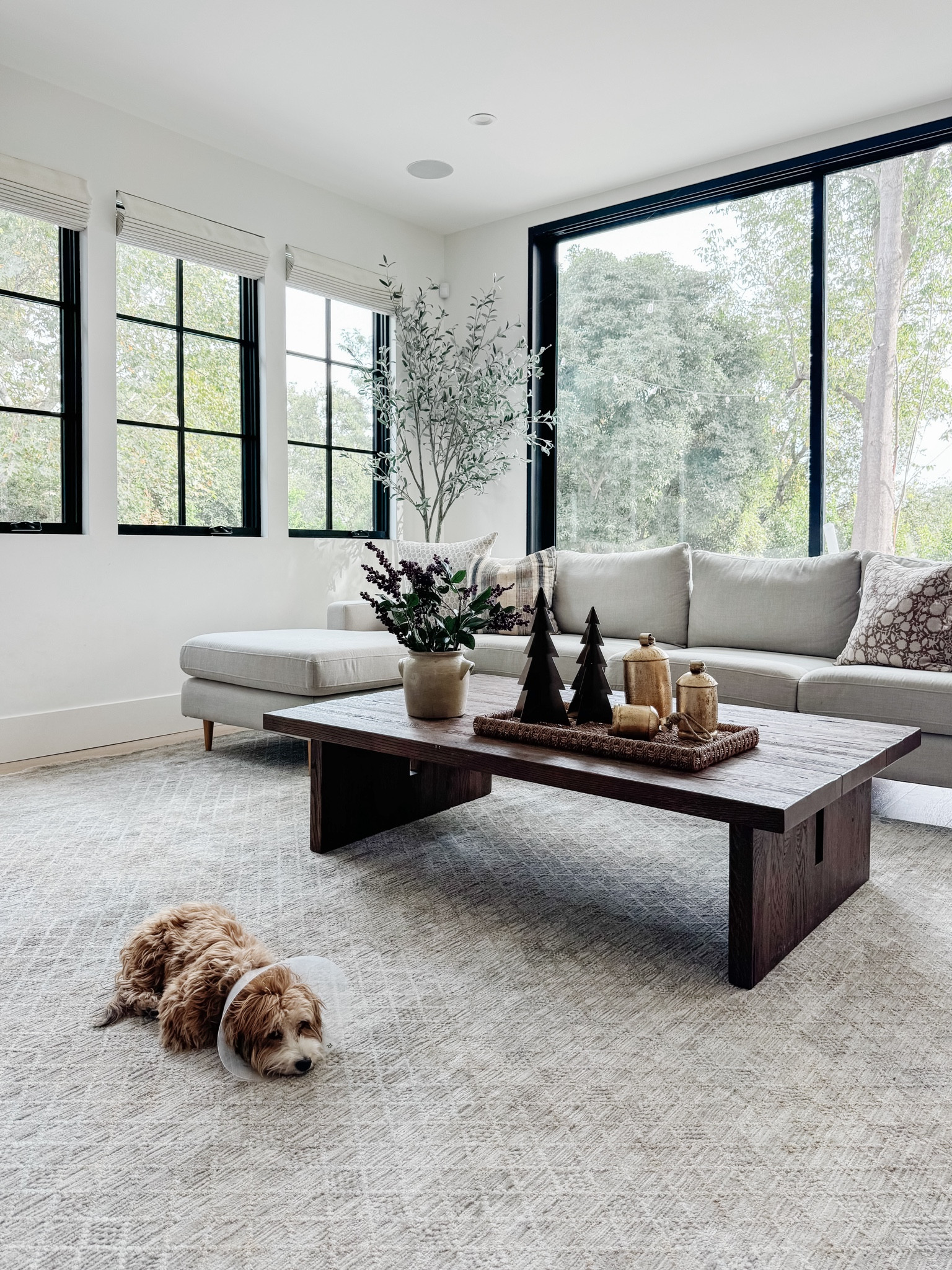 Living room design! My new fave rug! Amber Lewis Loloi wood, coffee, table, Christmas decorations, Christmas tree, bells, branches, vintage crock, face, gray sofa, gray rug olive tree Amazon Wayfair  

#LTKFindsUnder100 #LTKHome #LTKSaleAlert