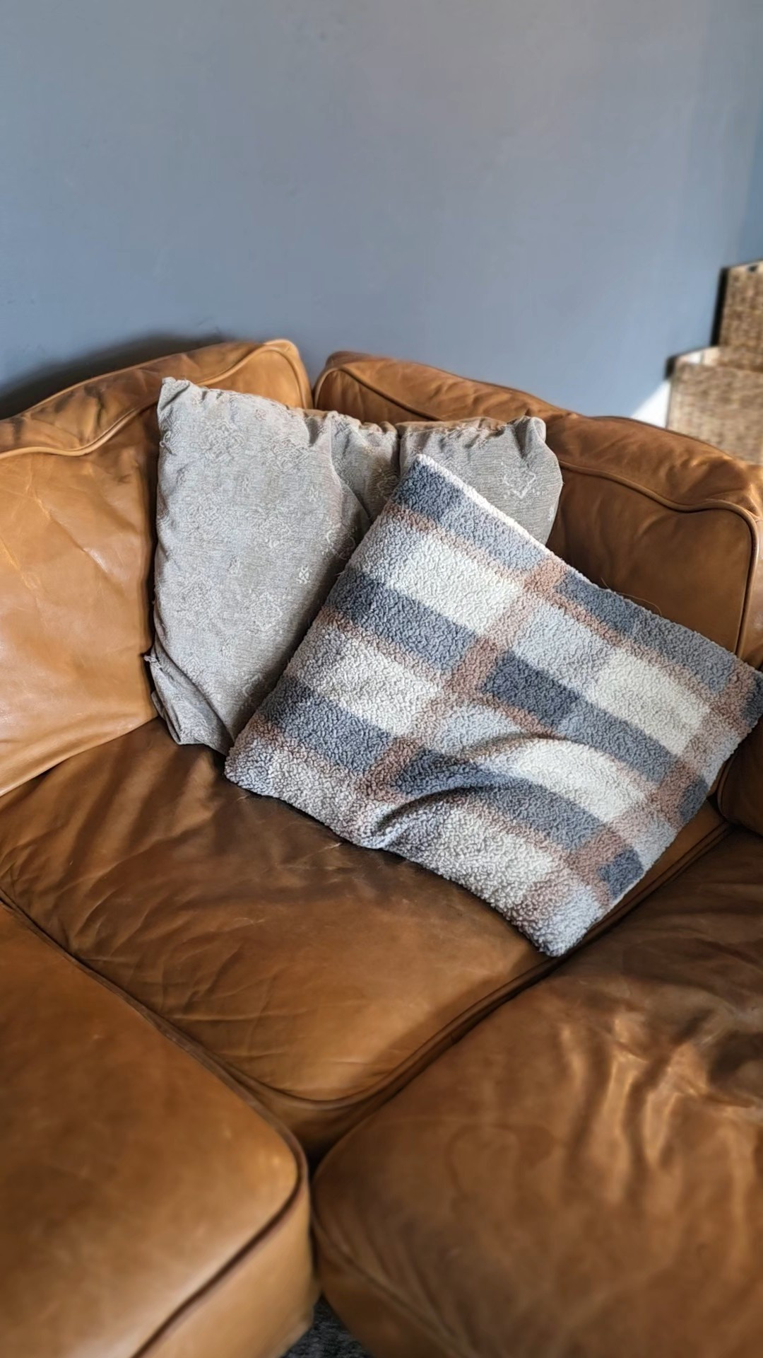 My living room throw pillows were in desperate need of a refresh. These ones are perfect and the fluffy inserts are awesome too!  

 #LTKHome