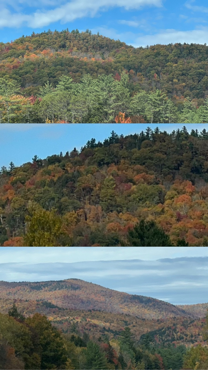 #ad #Vicks_Partner 💙 @vicks_us

#LTKSeasonal #LTKTravel