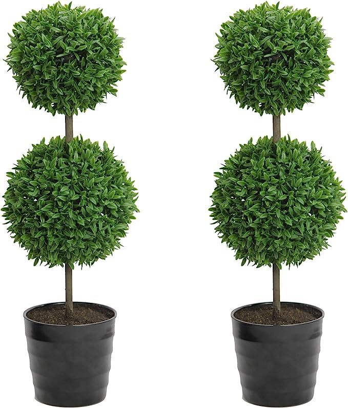 Admired By Nature Tabletop English Artificial Boxwood, Twin Pack, 2 Count | Amazon (US)