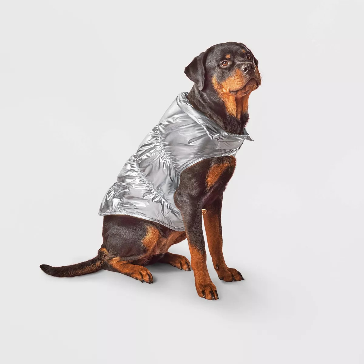 Puffer Dog Vest - Boots & Barkley™ Metallic Silver M | Target