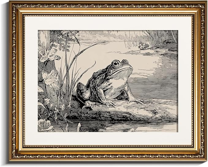 InSimSea gold framed art,16x13 Vintage Frog Illustration Wall Art Classic Nature Engraving Style ... | Amazon (US)