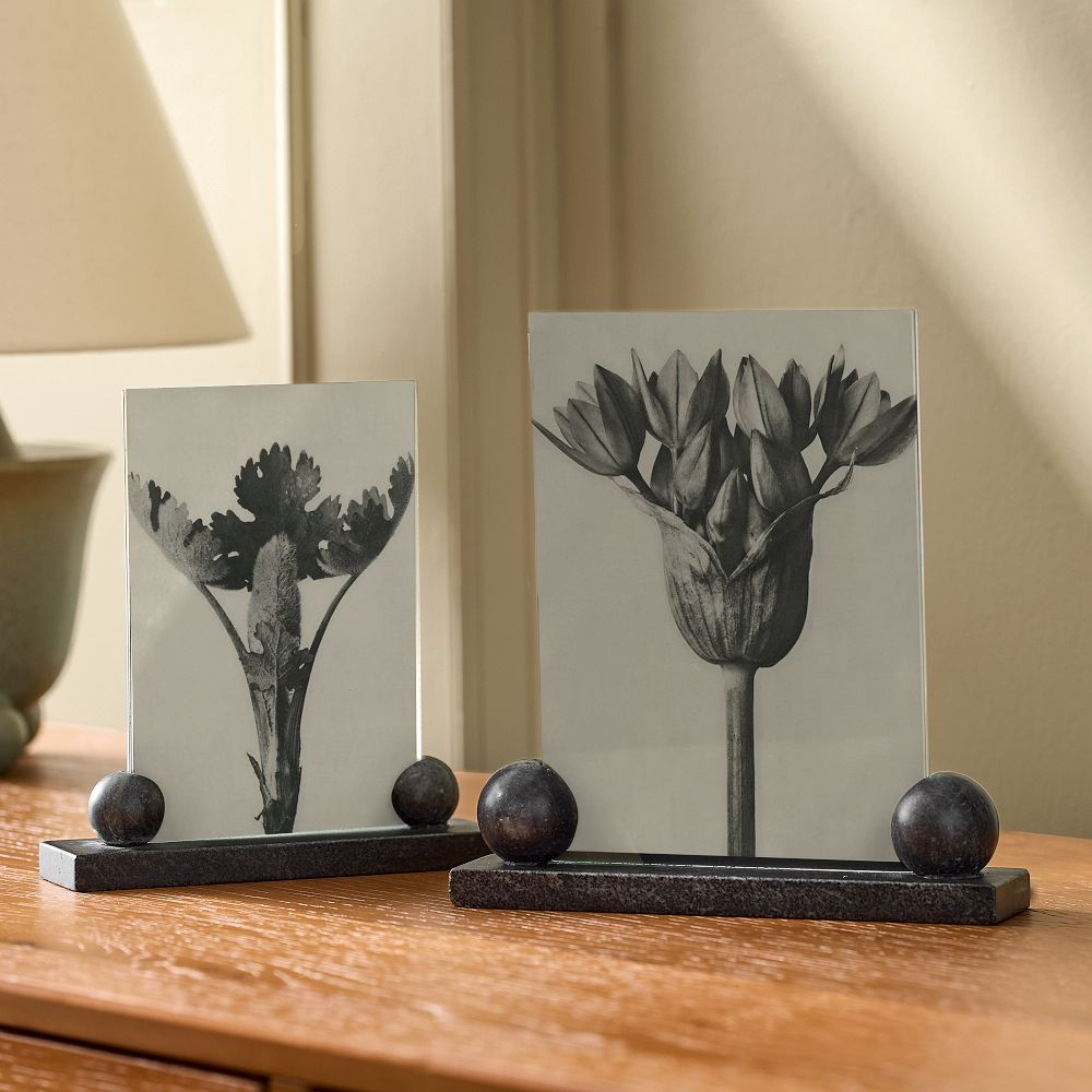 Pierce & Ward Ball Foot Frame | West Elm (US)