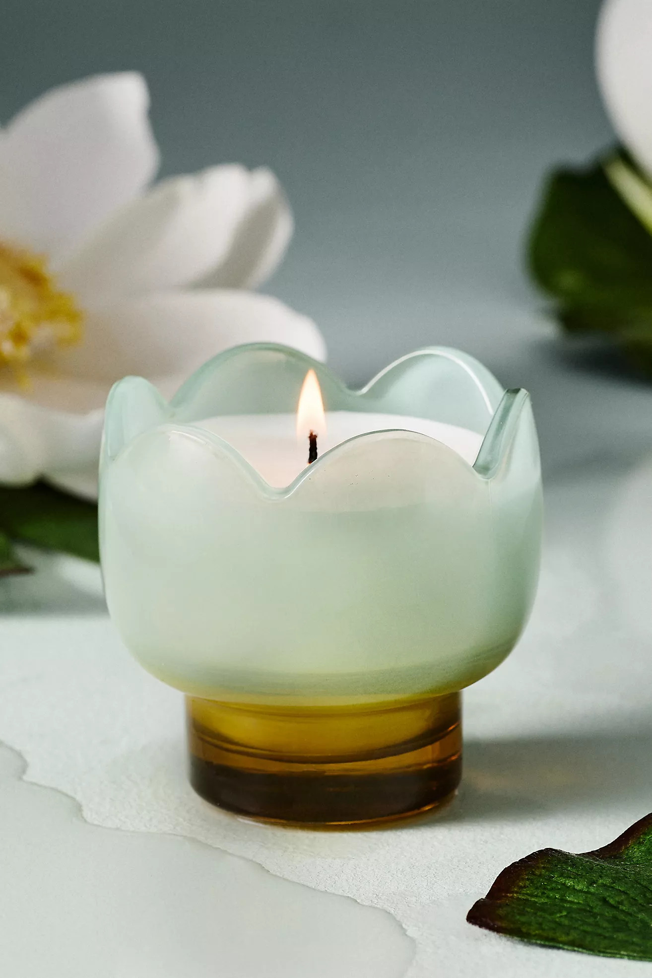 Fresh Wisteria & Willow Glass Candle | Anthropologie (US)