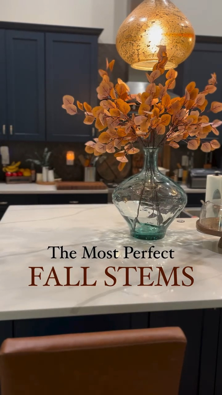 Comment “Stems” for the link! These Fall eucalyptus stems are the perfect fall accent you need for your home this year. #amazon #fall #falldecor #stems