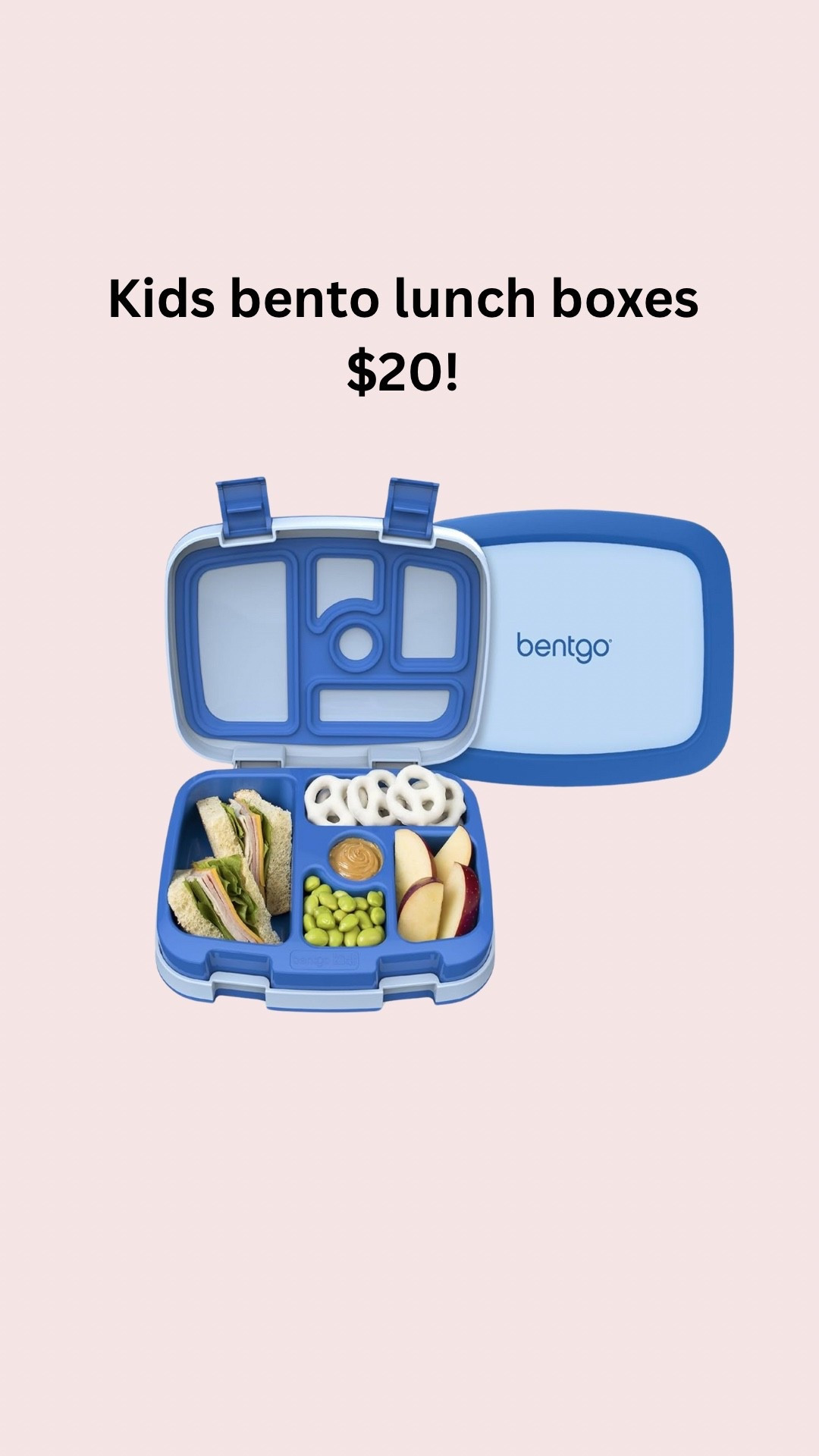 $20 bento kids lunch boxes

#LTKKids #LTKFindsUnder50 #LTKHome