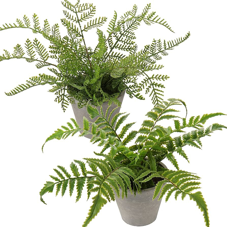 Mini Artificial Plants in Pots Set of 2 Realistic Faux Plants Indoor Small Fake Plants Decor for ... | Amazon (US)