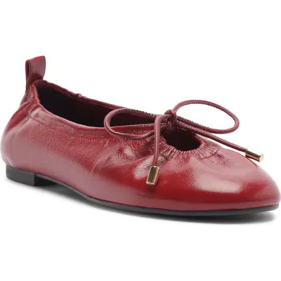 Arezzo Shae Ballet Flat (Women) | Nordstrom | Nordstrom