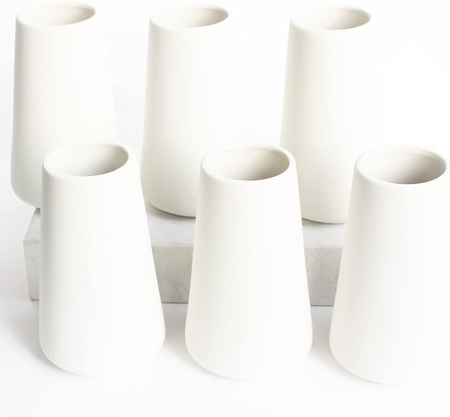 YANLING 6 Pack White Vase for Flowers, 6 Inch Modern White Ceramic Vases for Pampas Grass Simple ... | Amazon (US)