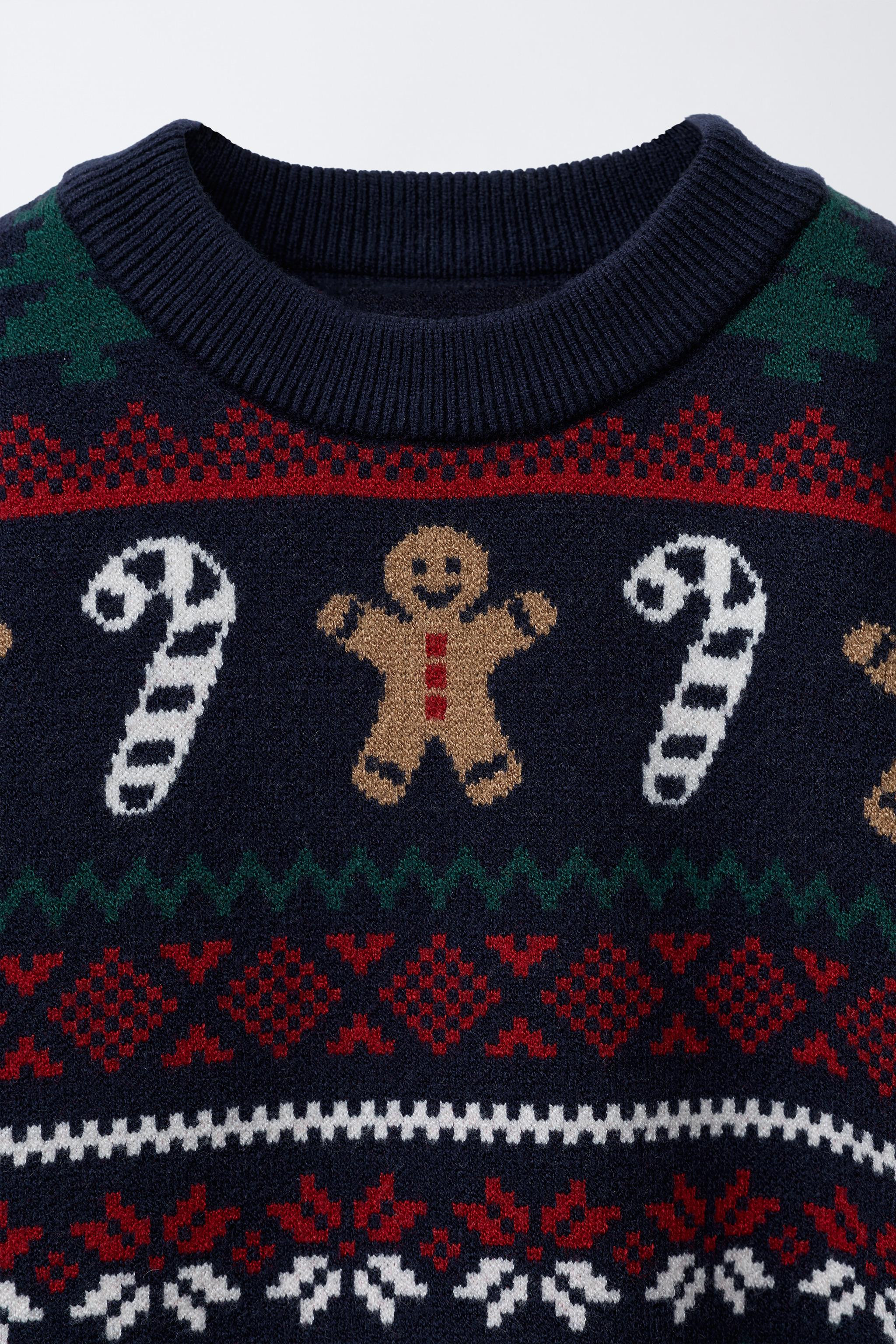 BISCUIT JACQUARD KNIT JUMPER | Zara US