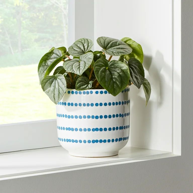 Better Homes and Gardens Blue Dot Ceramic Hazel Planter, 5.1" L x 5.1" W x 4.8" H | Walmart (US)