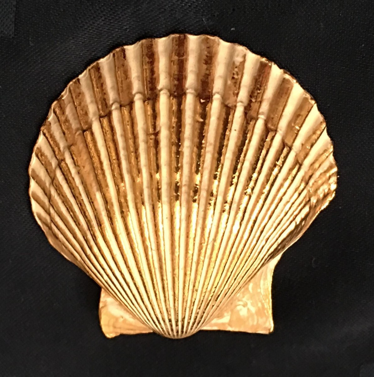 Sea Shell Scarf Clip | eBay US