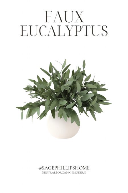 my absolute favourite affordable faux spring stems from Amazon! Who am I kidding- this eucalyptus is perfect for all year round! 

#LTKhome #LTKsalealert #LTKSpringSale