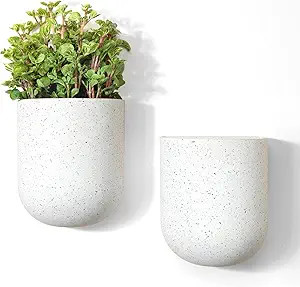 LA JOLIE MUSE Wall Hanging Planters for Indoor Plants，Hanging Flower Pots for Air Plants Succul... | Amazon (US)