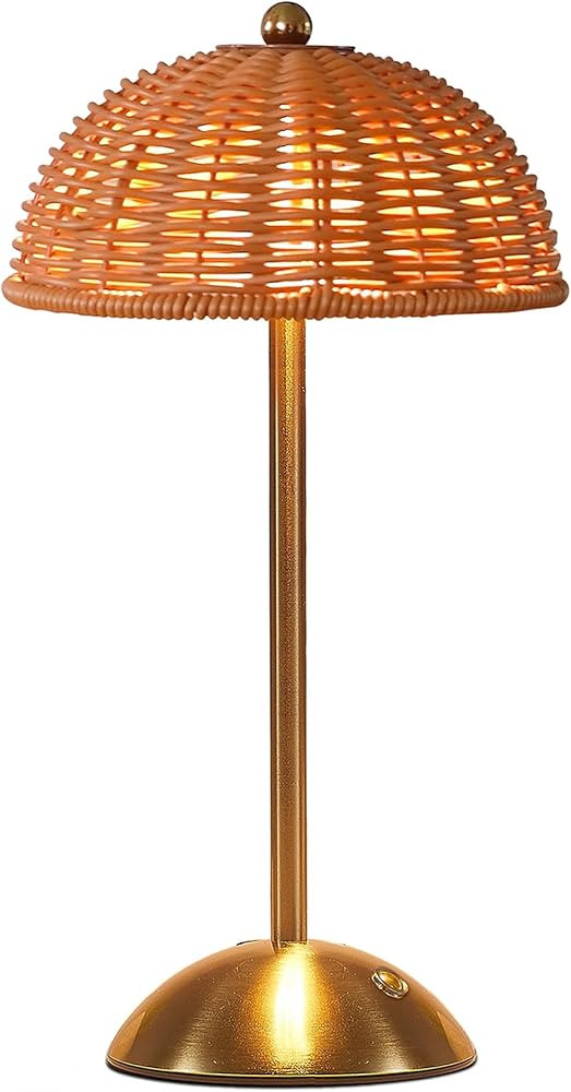 Rattan Boho Table Lamp,Small Wicker Night Light,3 Color Temperature Touch Control Bedside Lamps,L... | Amazon (US)