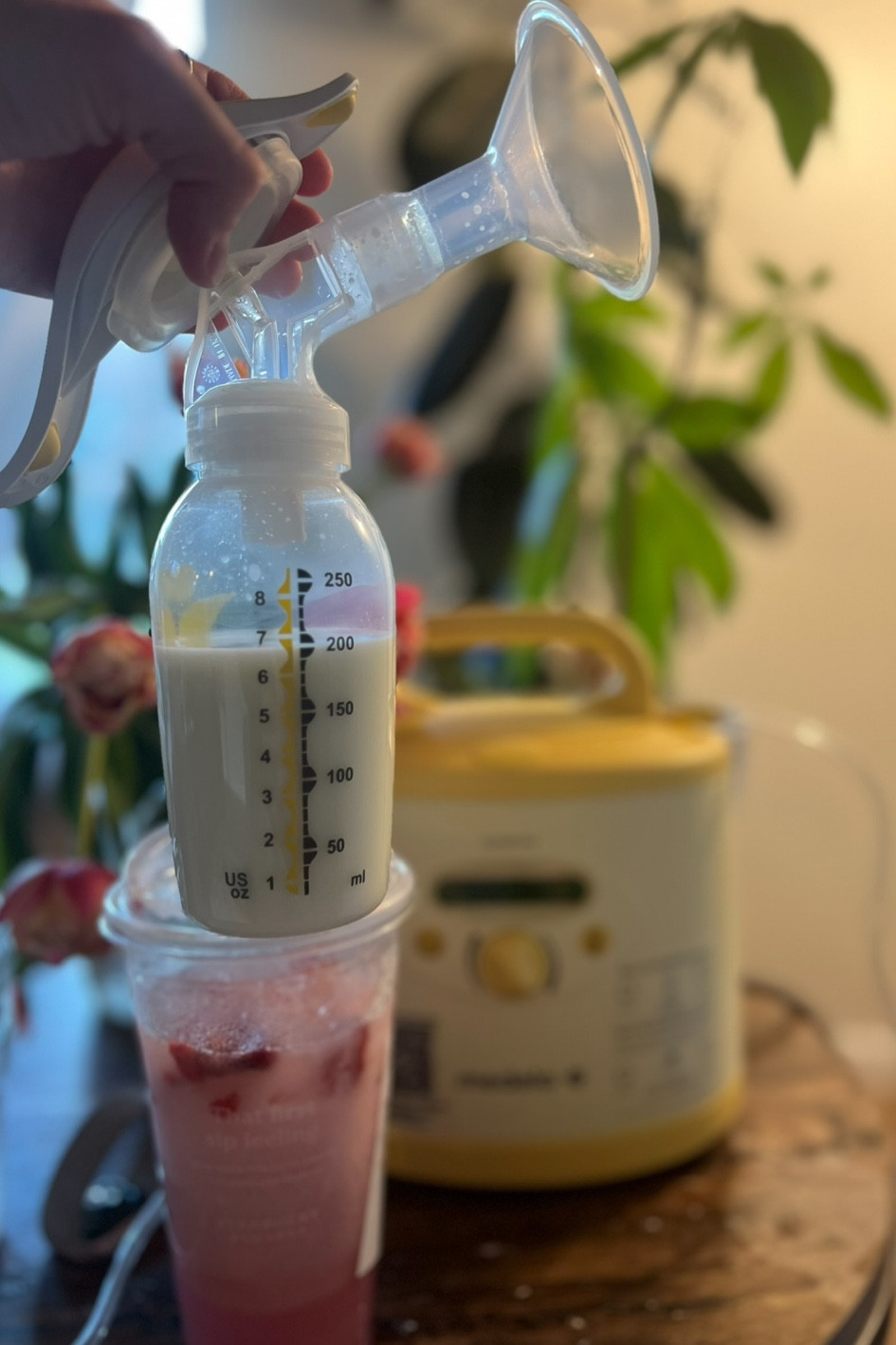 Tips of using the medela hand pump: 
1. Make sure you have the proper size flange! Do not use a flange that’s too big
2. Switch the medela valve for a spectra duckbill valve
3. Make sure the yellow piece on the handle still has the tiny white rubber band. It will almost no suction without it. 
4. Push on the front of the handle to use the stimulation mode and the. Switch to the back for expression mode once milk starts to flow! 
This is an amazing pump but there is definitely a learning curve to using it. Leave any questions below 💛 #medelahandpump #increasemilksupply #breastfeeding 