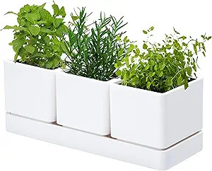 D'vine Dev Herb Garden Planter Set, Plastic Plant Pots with Drainage and Saucer, Indoor Succulent... | Amazon (US)