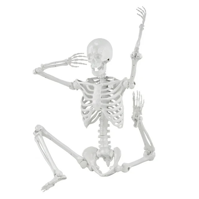 5ft Pearlized White Plastic Ultra Poseable Skeleton, Halloween Hanging Decoration, by Way to Cele... | Walmart (US)