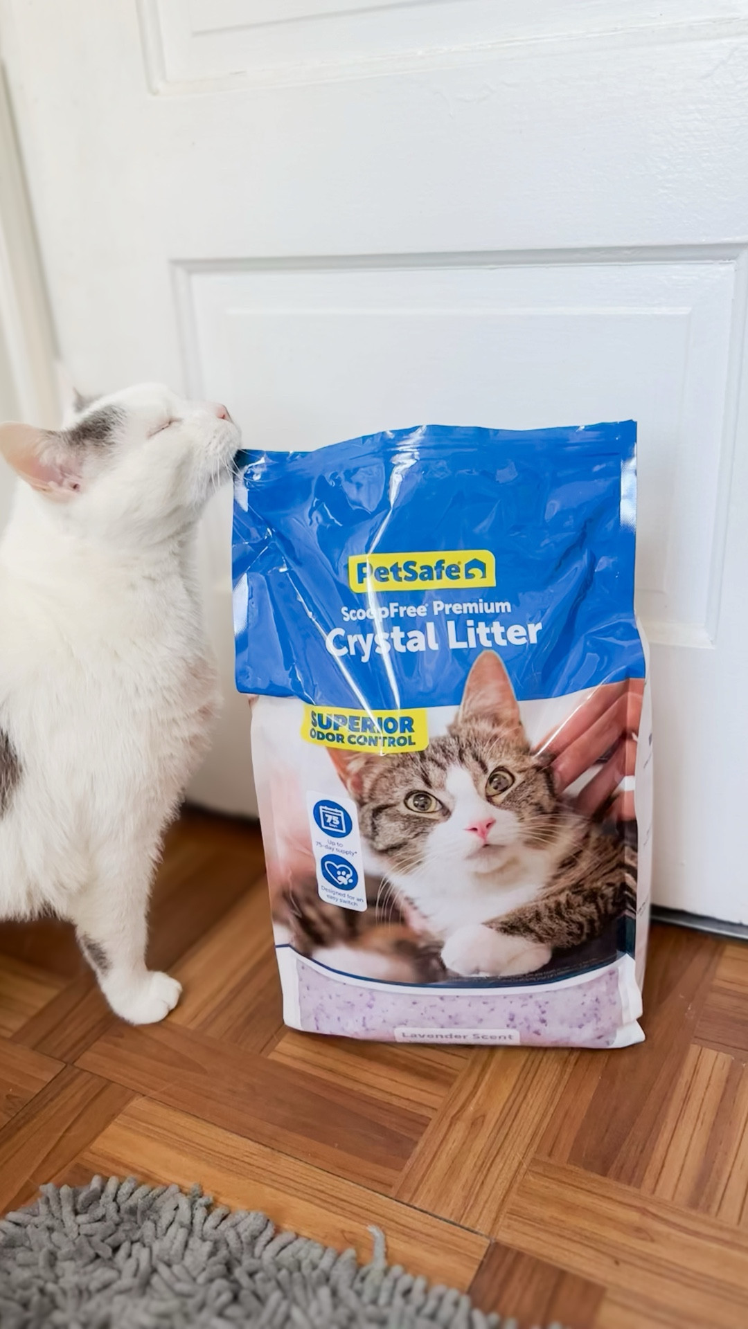 Cat families give Pet Safe Crystal Cat Litter a try! It’s so much lighter, one 10lb bag lasts up to 2 months, and it stops odor at the source.  

#LTKHome