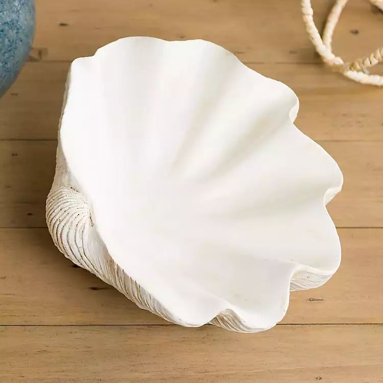 New! White Seashell Shaped Bowl | Kirkland's Home