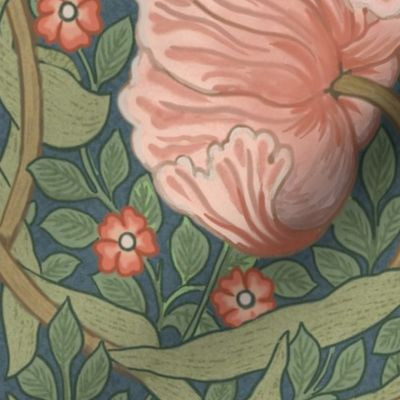 Pimpernel | Spoonflower