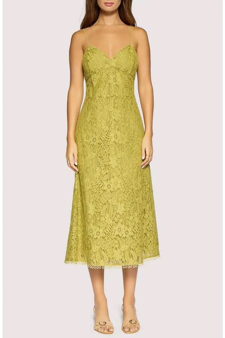 Serafina Floral Lace Cotton Blend Midi Dress (Women) | Nordstrom | Nordstrom
