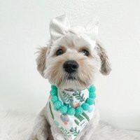 Mermaid Sparkle Necklace For Dogs - Gifts Pet Jewelry Dog Accessories Puppy Bow Lovers | Etsy (US)