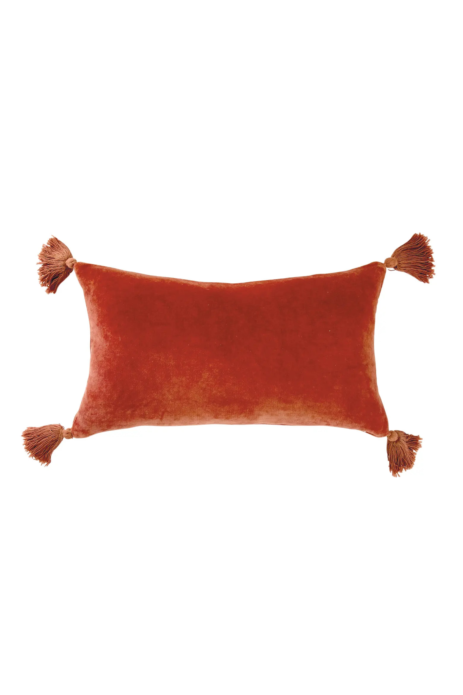 Velvet Tassel Accent Pillow | Nordstrom | Nordstrom