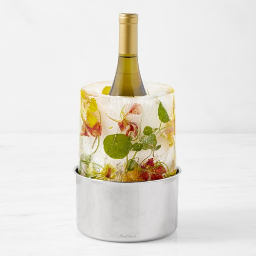 Stainless Steel Ice Bottle Chiller | Williams-Sonoma
