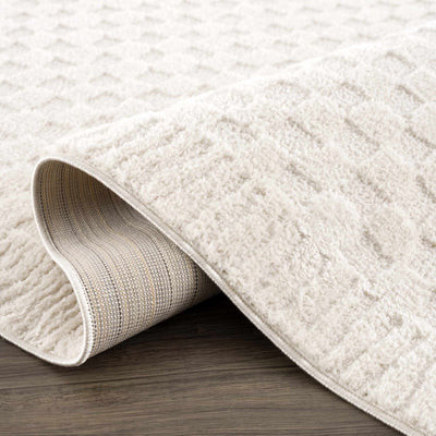 Leryn Ivory Checkered Area Rug | Boutique Rugs