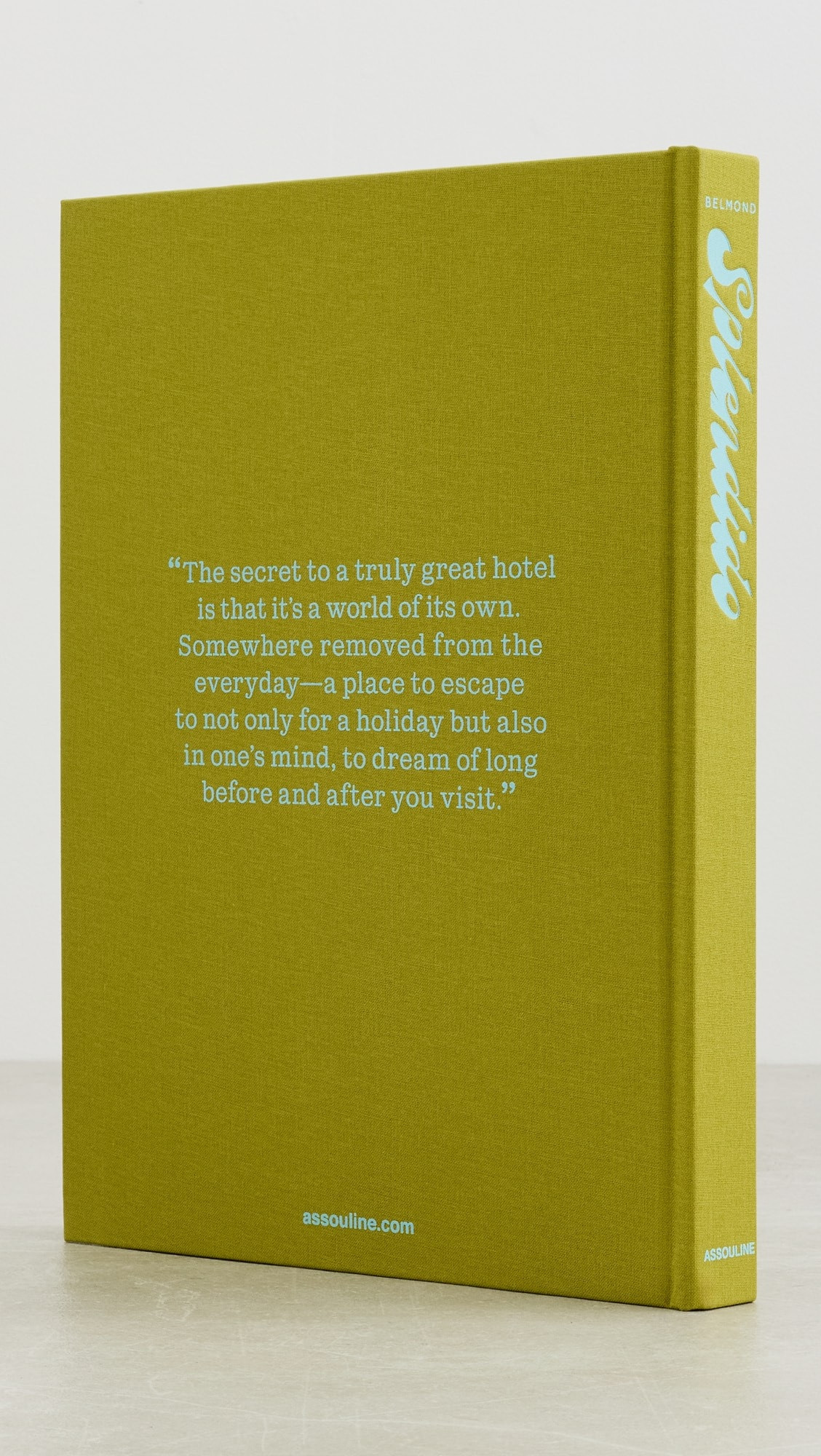 Splendido: The Radiant Stage of Portofino Book | Shopbop