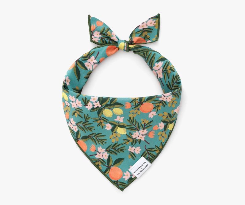 Citrus Floral Teal Dog Bandana | Rifle Paper Co.