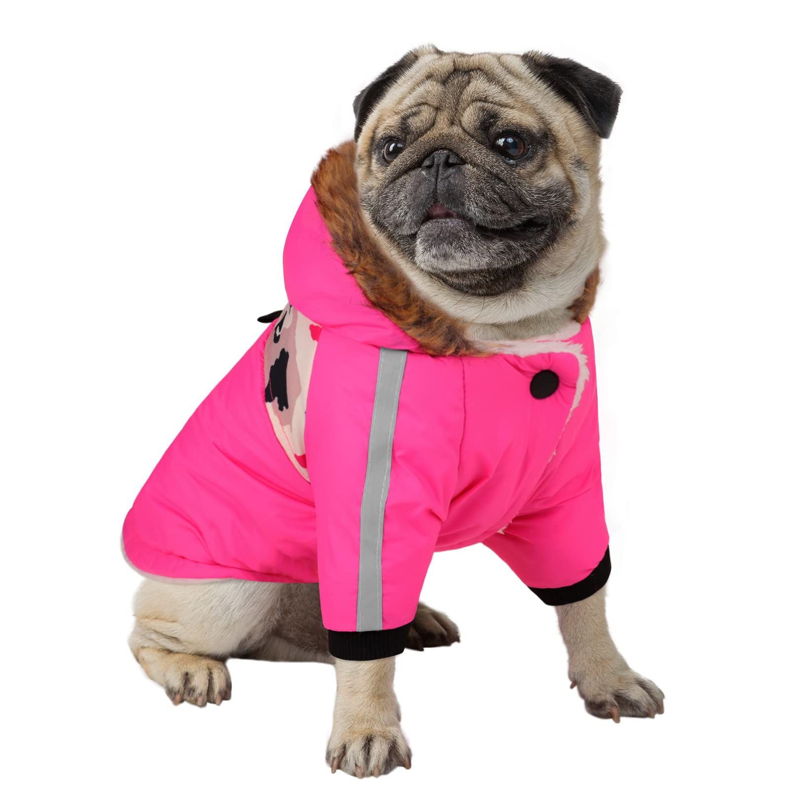 Queenmore Warm Dog Winter Coat, Cold Weather Waterproof Snow Jacket with Reflective Hoodie, Long ... | Amazon (US)