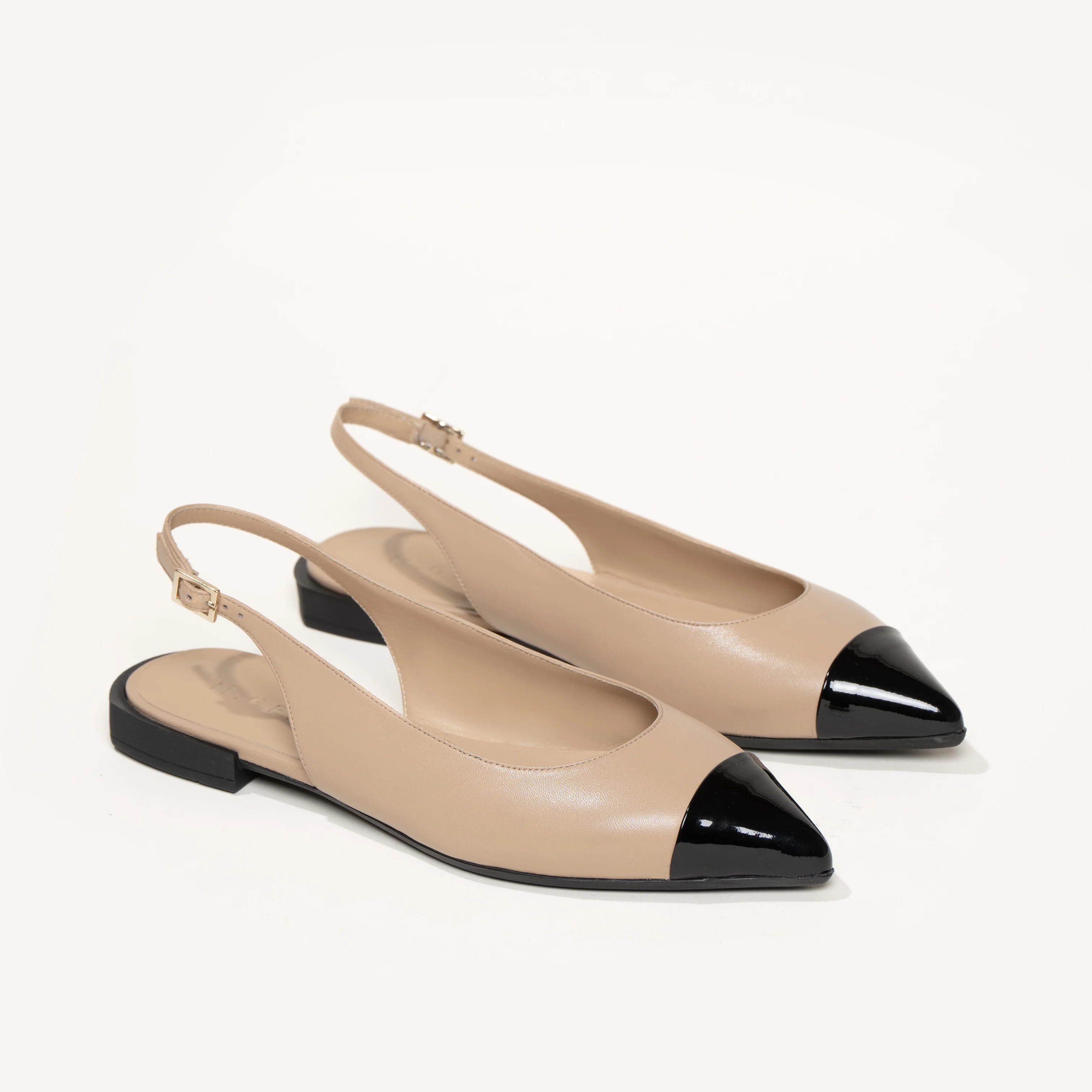 The Camelia | M.GEMI