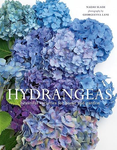 Hydrangeas: Beautiful Varieties for Home and Garden     Hardcover – May 26, 2020 | Amazon (US)