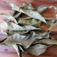 Grenada Mango Leaf | Etsy (US)