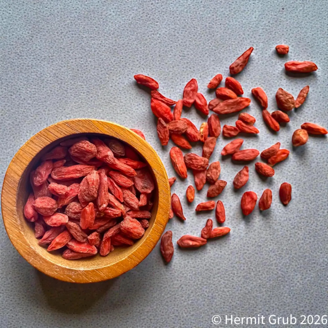 Goji Berries | Hermit Crab Food - Etsy | Etsy (US)